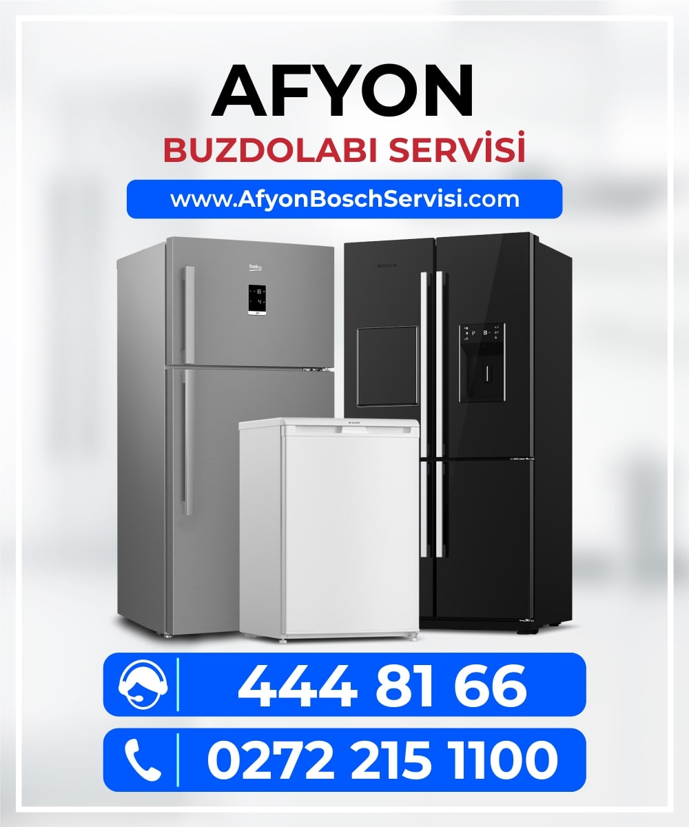 afyon bosch buzdolabi servisi